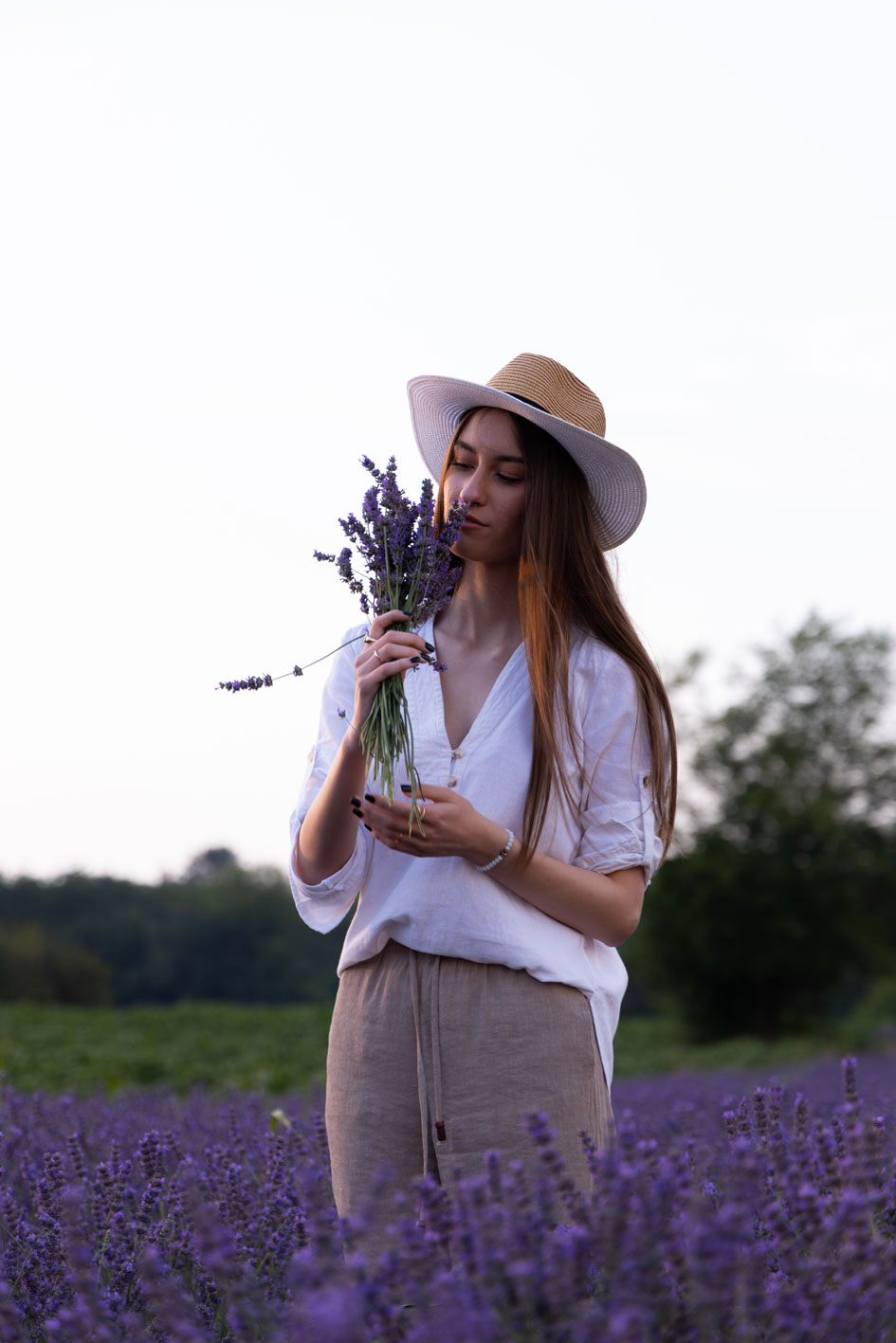 Lavanda 1