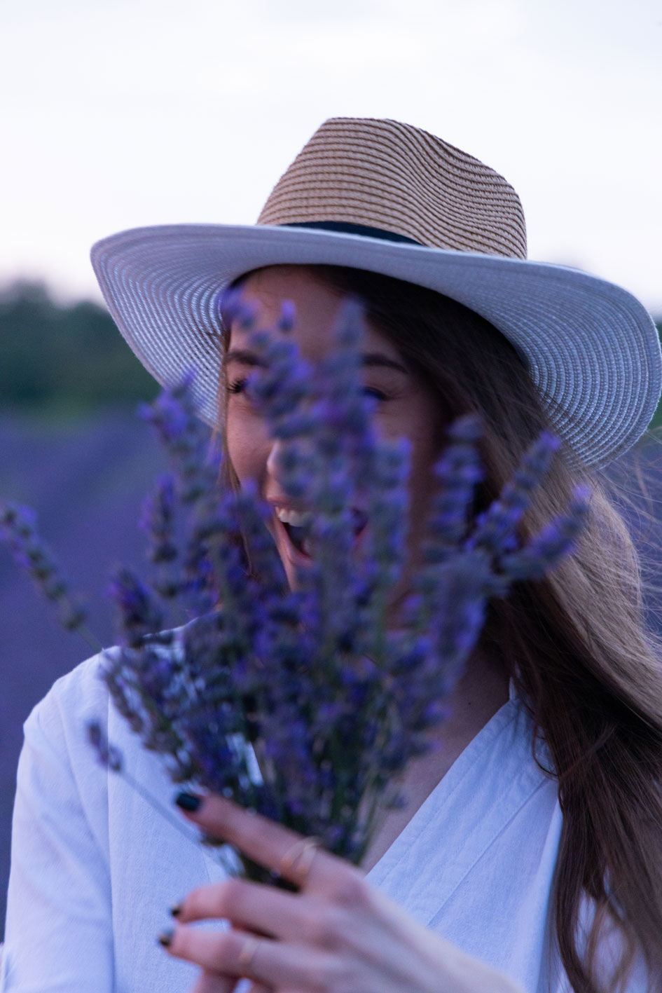 Lavanda