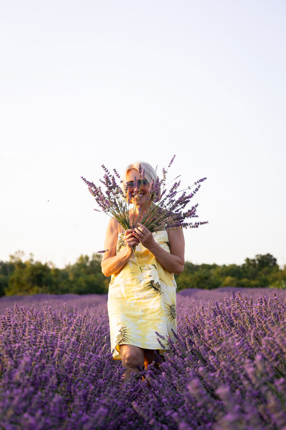 Lavanda 14