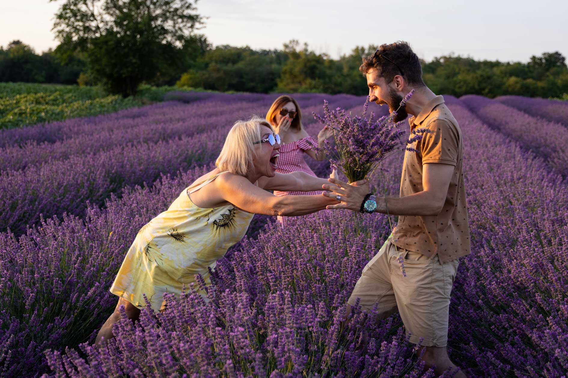 Lavanda cvetovi