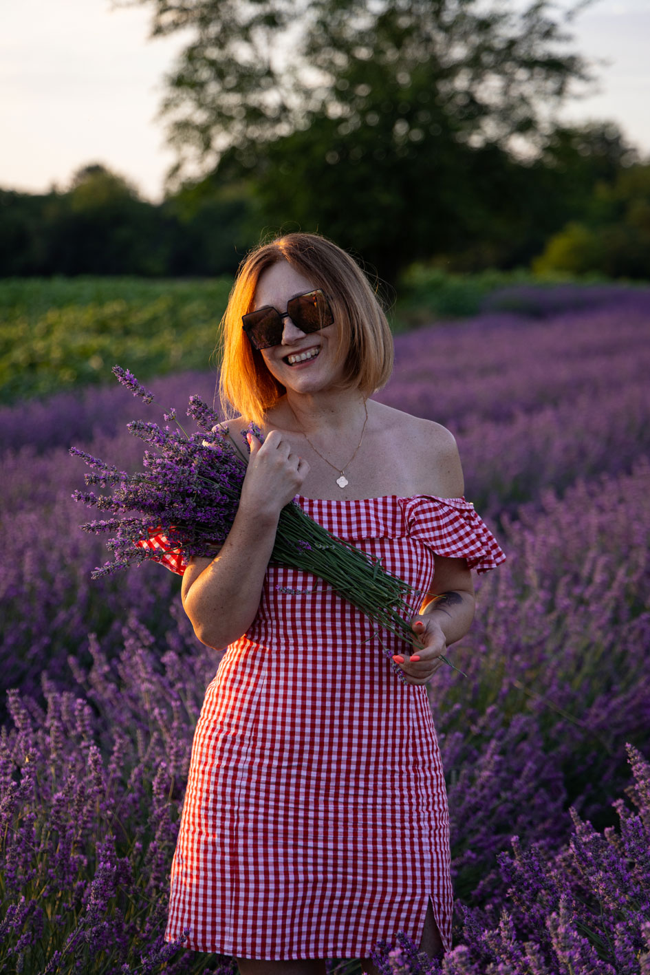 Lavanda 16