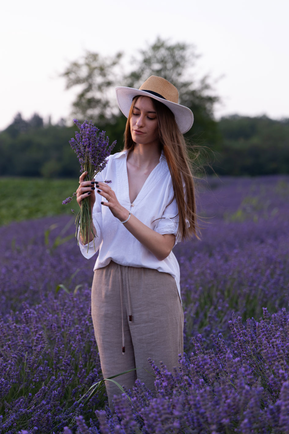 Lavanda 2