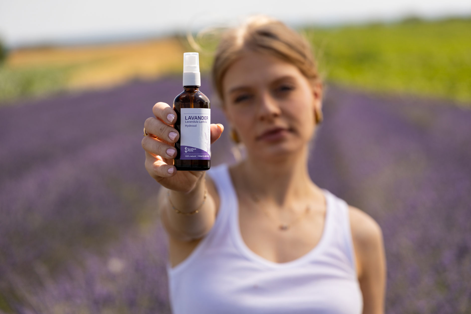 Lavanda 25