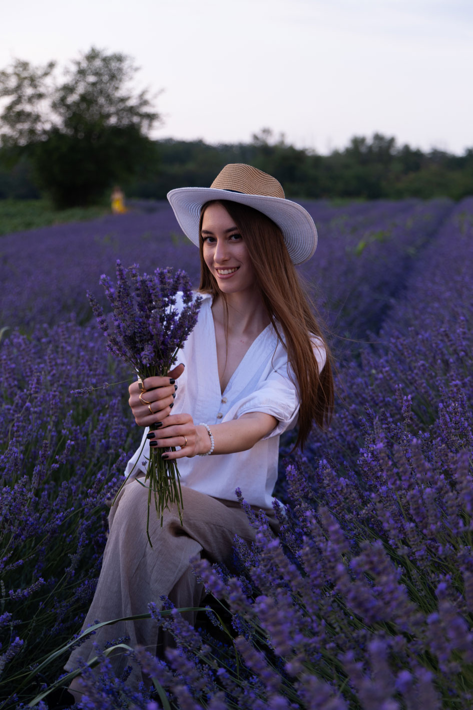 Lavanda 3