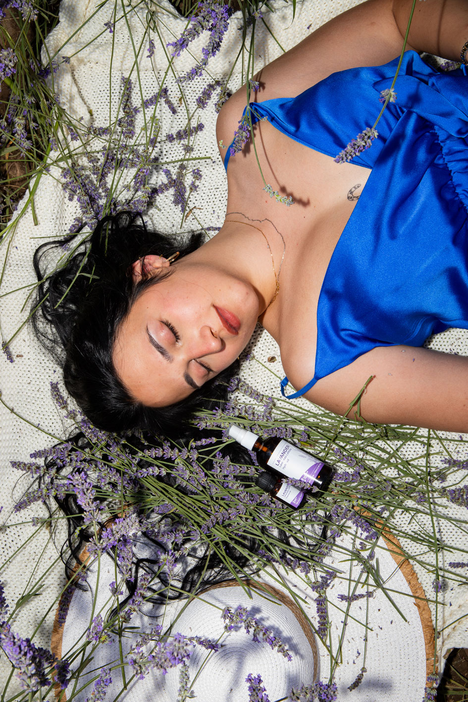 Lavanda 31