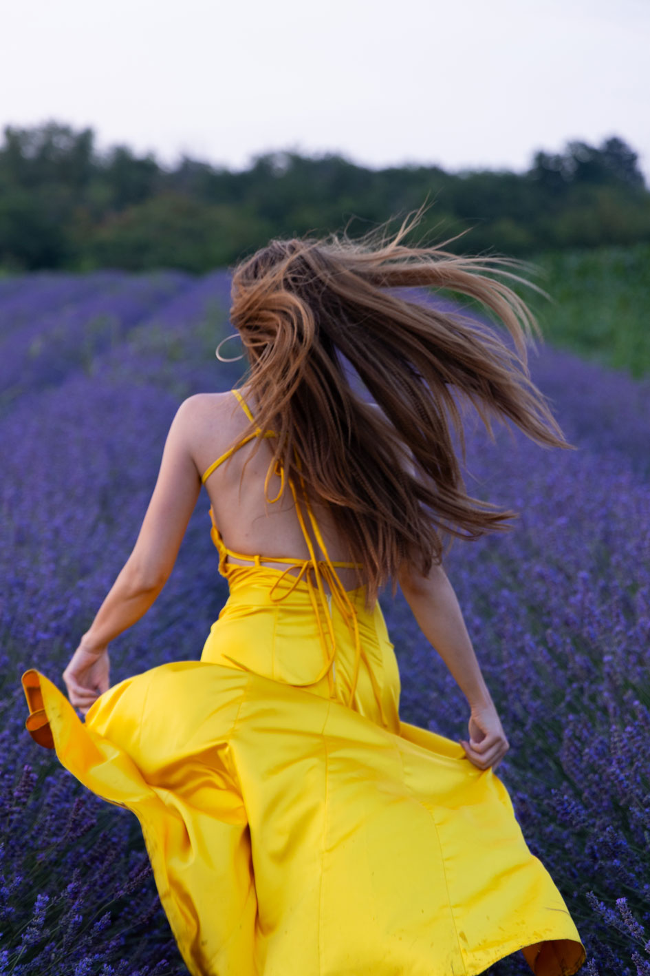Lavanda 5