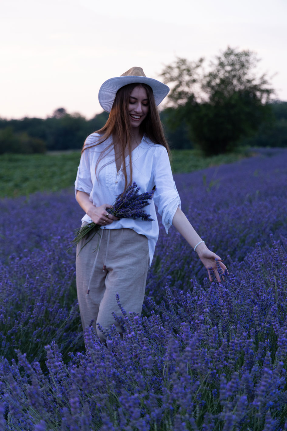 Lavanda 7